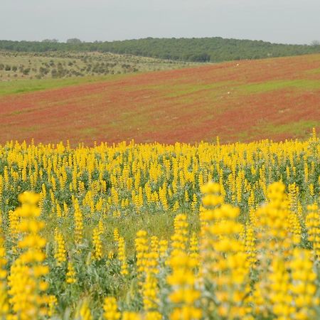 הוילה Alcaria Ruiva Casa Da Aldeia II מראה חיצוני תמונה