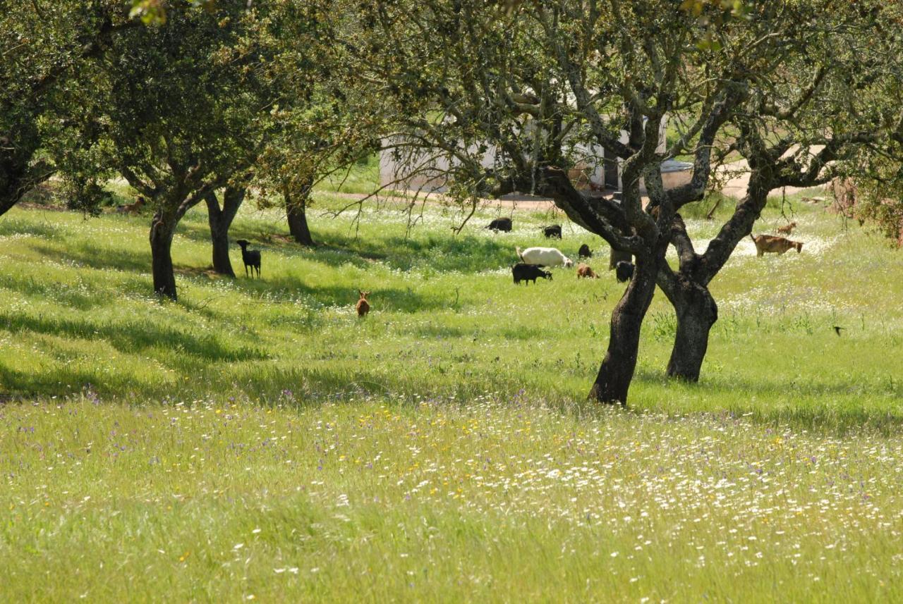 הוילה Alcaria Ruiva Casa Da Aldeia II מראה חיצוני תמונה