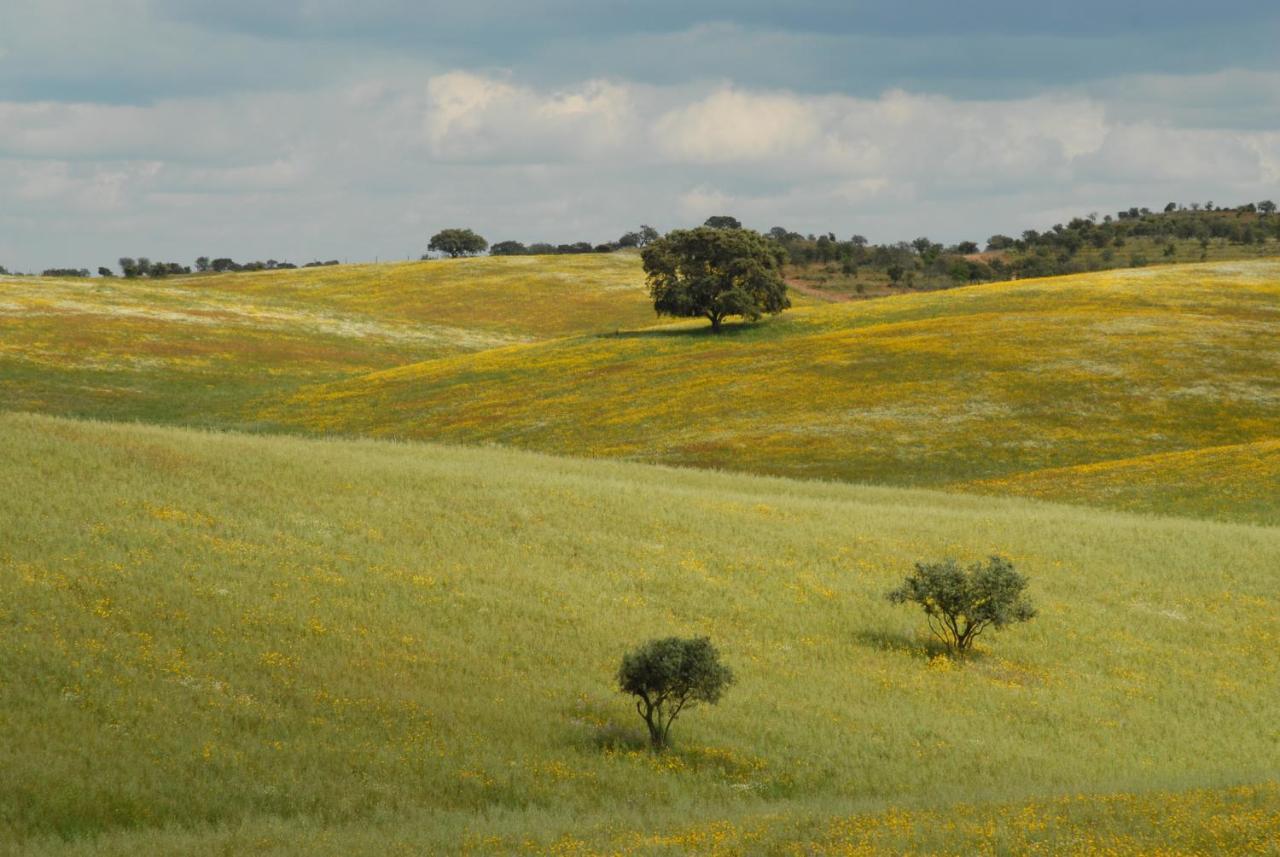 הוילה Alcaria Ruiva Casa Da Aldeia II מראה חיצוני תמונה