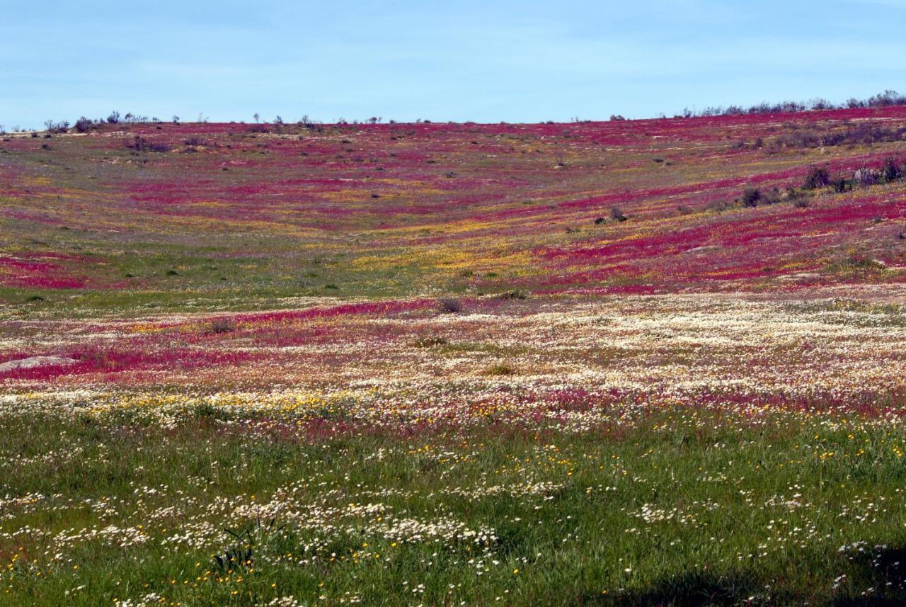 הוילה Alcaria Ruiva Casa Da Aldeia II מראה חיצוני תמונה